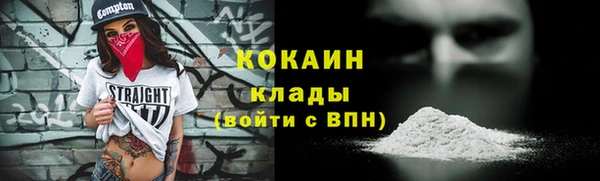 шишки Аркадак