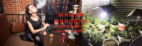 шишки Аркадак