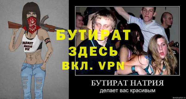 шишки Аркадак