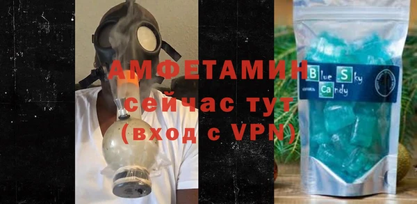 шишки Аркадак